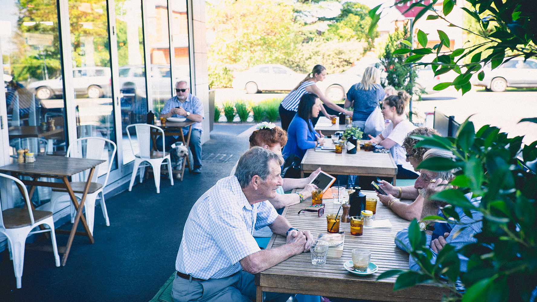 Mr Brightside Outdoor Cafe photo